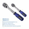 GY002081-4