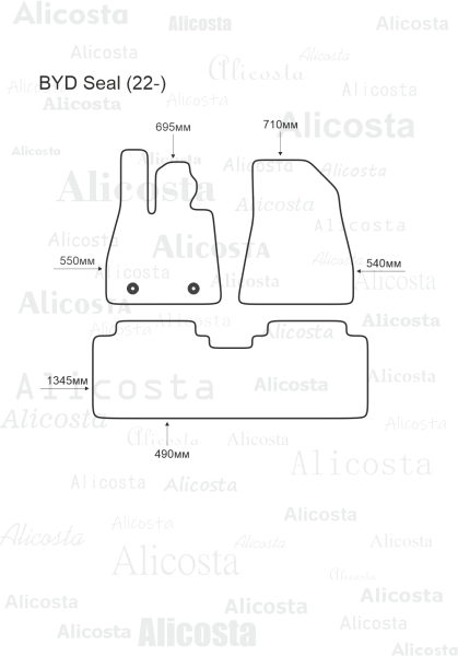 EVA-коврики в салон BYD Seal (22-)