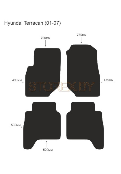 Hyundai Terracan (01-07) copy
