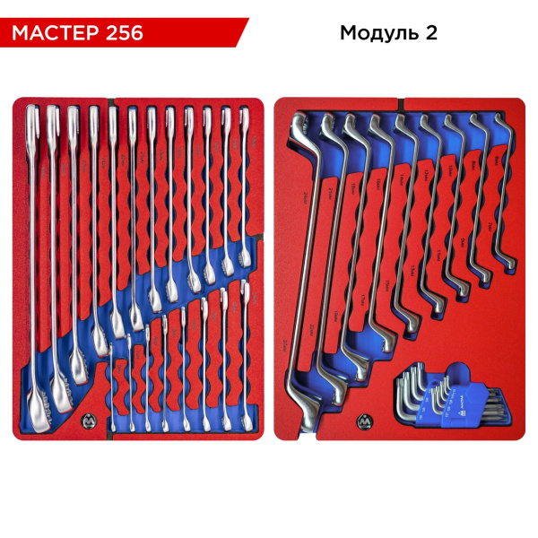Набор инструментов МАСТЕР 256 для тележки МАСТАК 5-00256 (11 ложементов, 256 предметов)