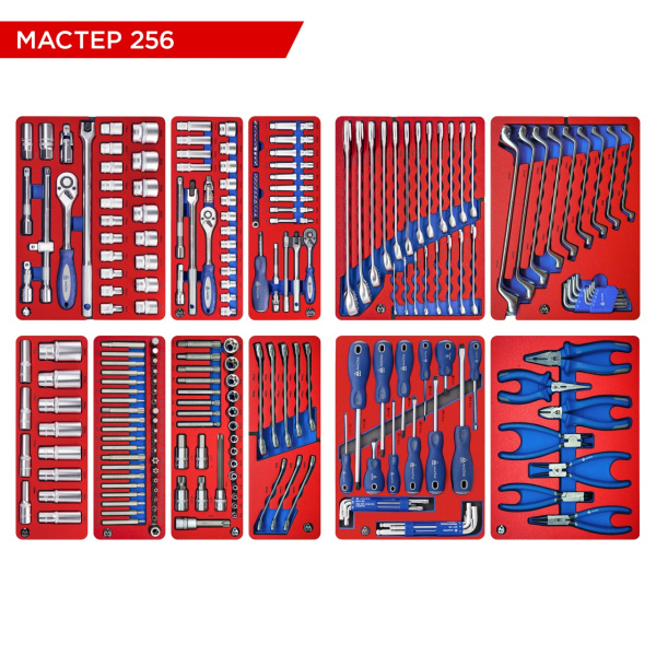 Набор инструментов МАСТЕР 256 для тележки МАСТАК 5-00256 (11 ложементов, 256 предметов)