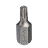 GARWIN PRO 631025-T20 Бита 10 мм Torx T20 30 мм